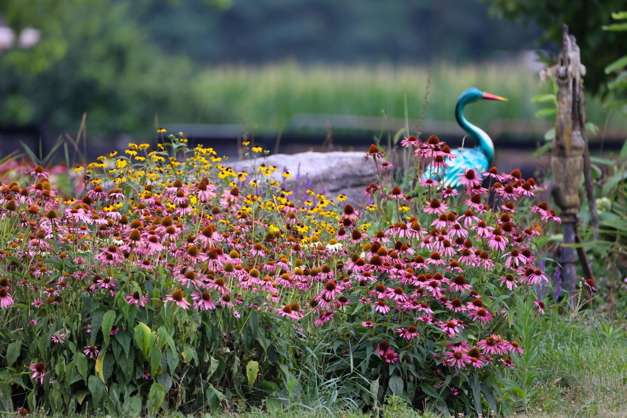 Pheasant Field Bed And Breakfast Карлайл Екстериор снимка